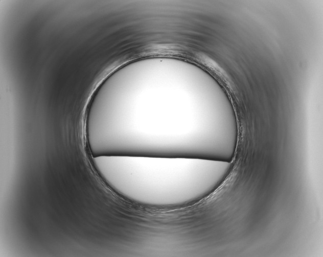 X0000096431370200801241015