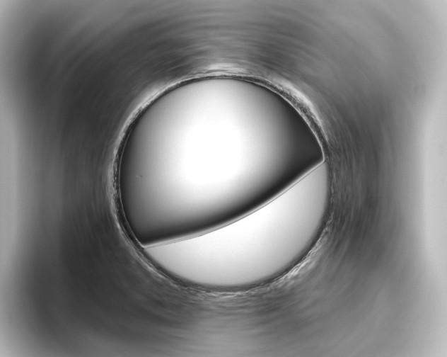 X0000096431373200801241015