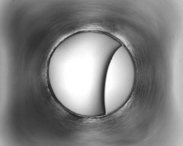 X0000096431374200801241015