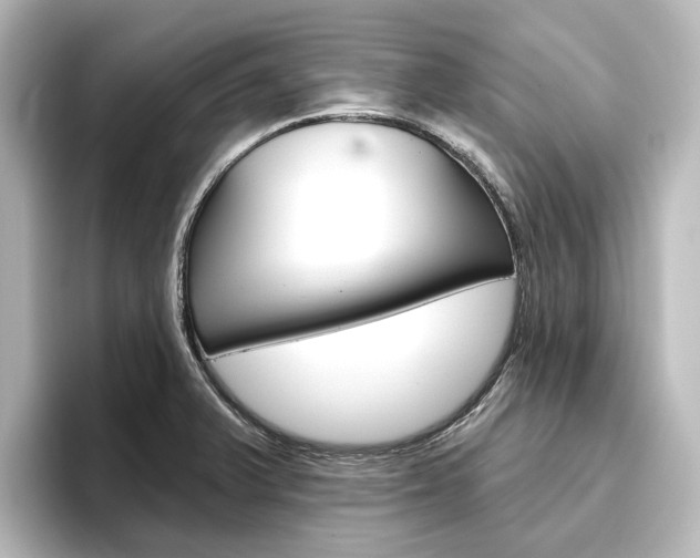 X0000096431375200801241015