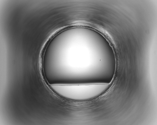 X0000096431376200801241015