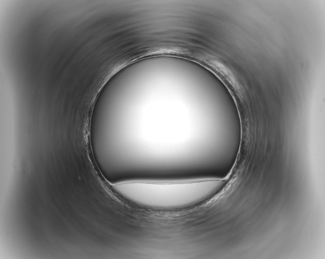 X0000096431377200801241015