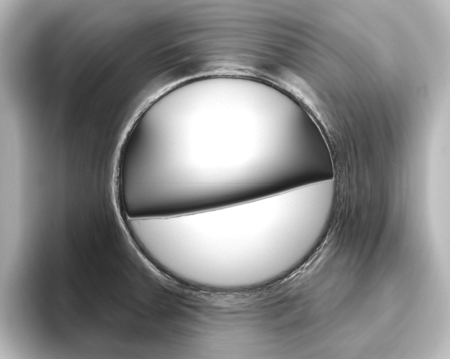 X0000096431379200801241015
