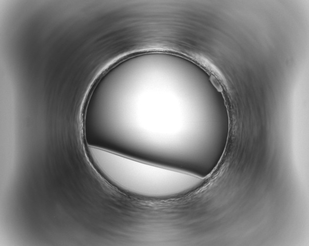 X0000096431380200801241015