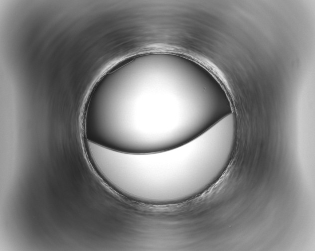 X0000096431381200801241015