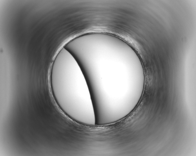 X0000096431382200801241015