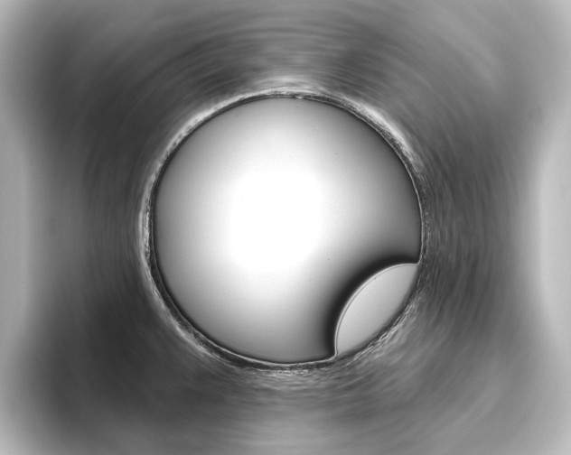 X0000096431383200801241015