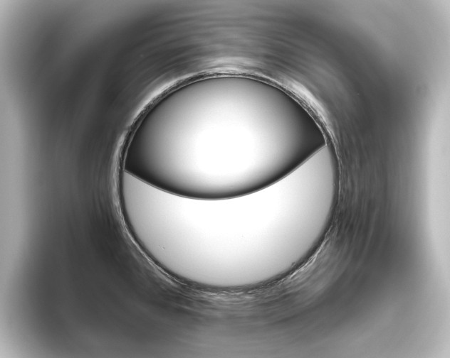 X0000096431384200801241015