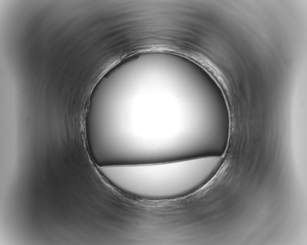 X0000096431385200801241015