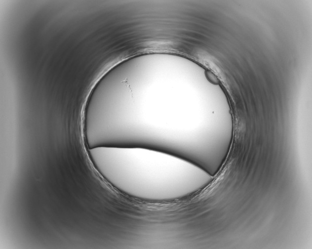 X0000096431386200801241015