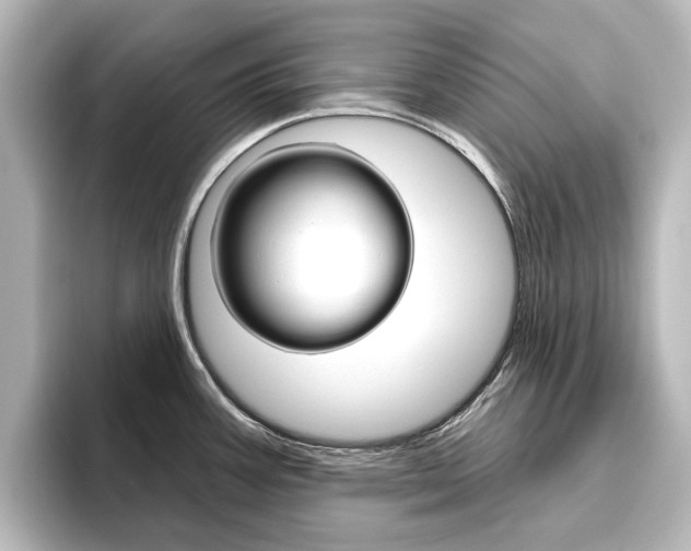 X0000096431387200801241015