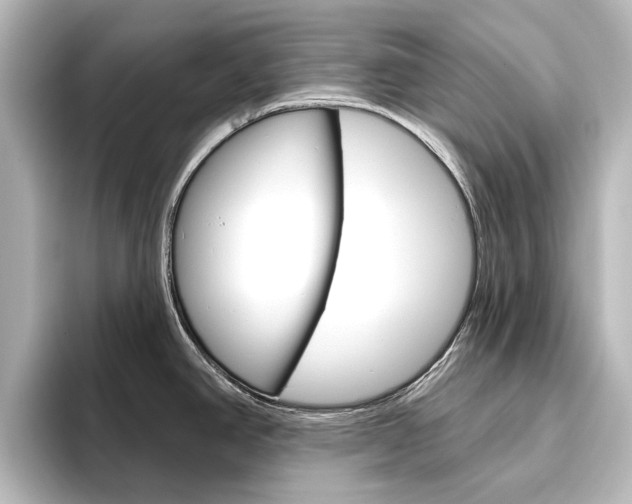 X0000096431390200801241015