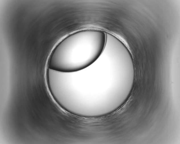 X0000096431391200801241015