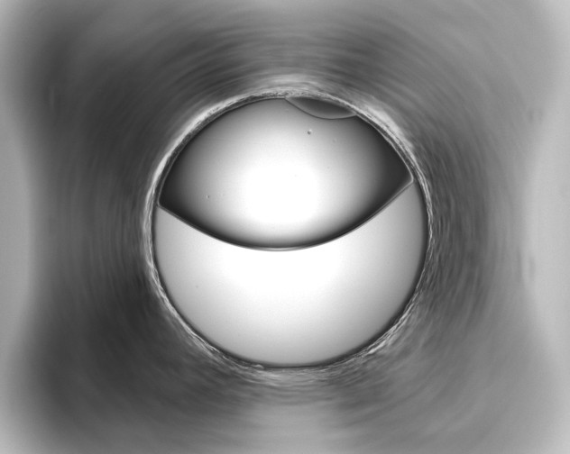 X0000096431392200801241015