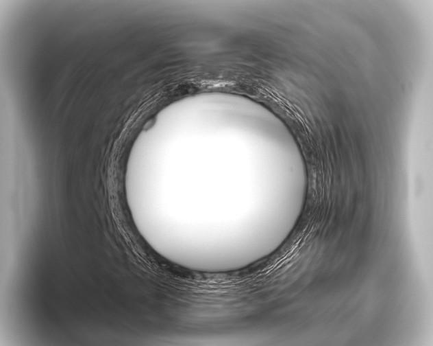 X0000096431393200801241014