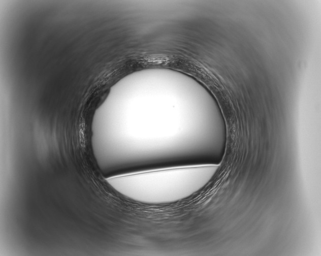X0000096431394200801241014