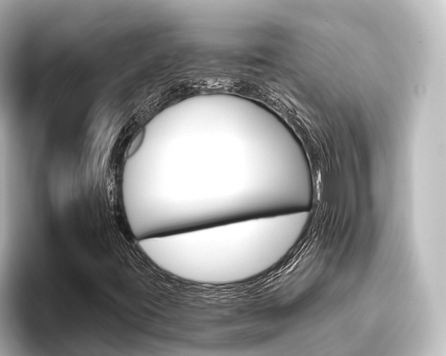 X0000096431395200801241014