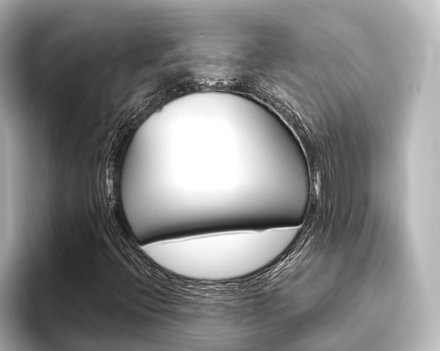 X0000096431396200801241014