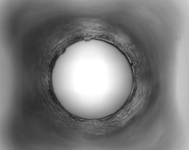 X0000096431397200801241014