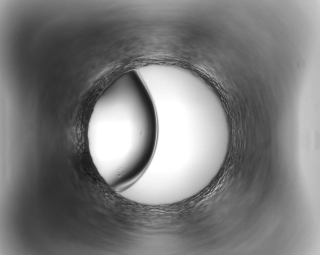X0000096431398200801241014