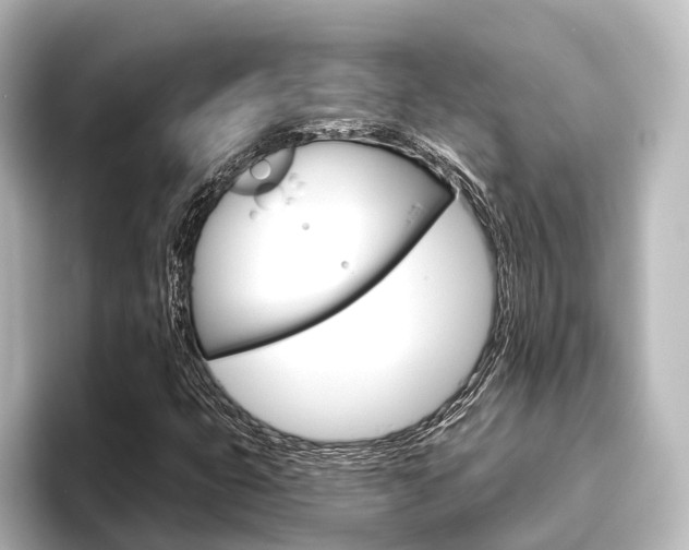 X0000096431399200801241014