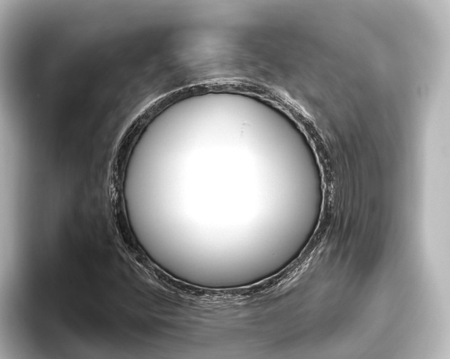X0000096431400200801241014