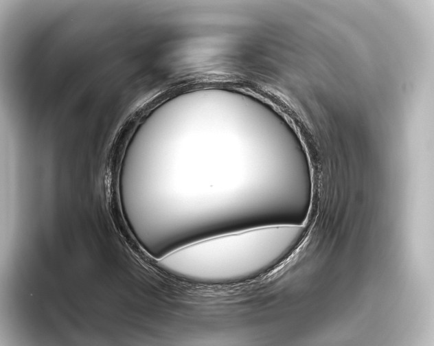 X0000096431402200801241014
