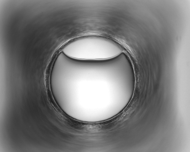 X0000096431404200801241014
