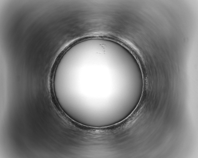 X0000096431412200801241014