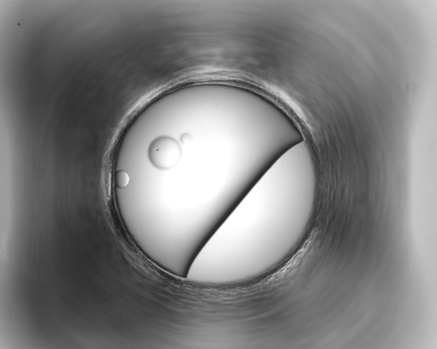 X0000096431413200801241014