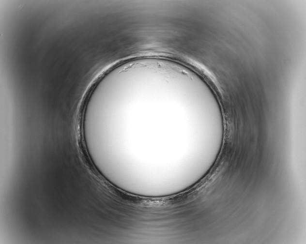 X0000096431415200801241014