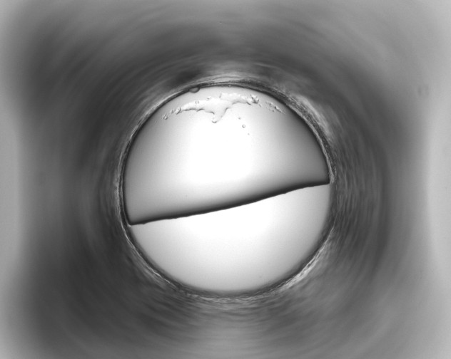 X0000096431417200801241014