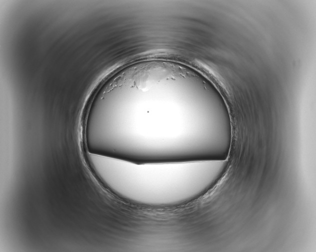 X0000096431418200801241014