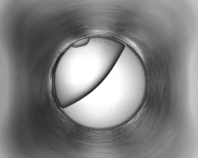 X0000096431419200801241014