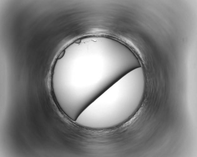 X0000096431421200801241014