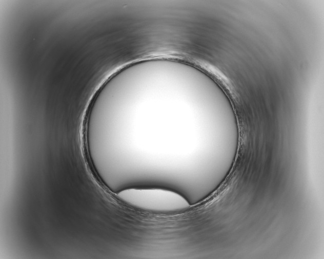 X0000096431423200801241014