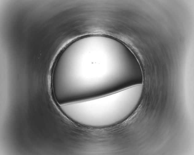X0000096431424200801241014