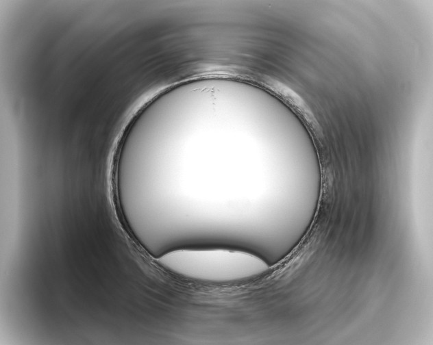 X0000096431427200801241015