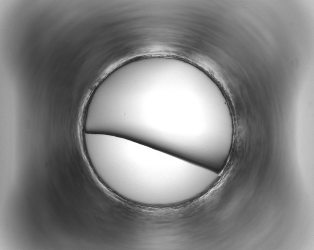 X0000096431429200801241015