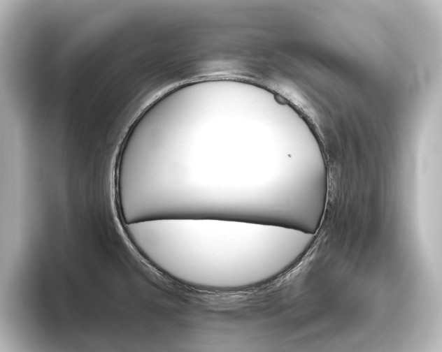 X0000096431431200801241015