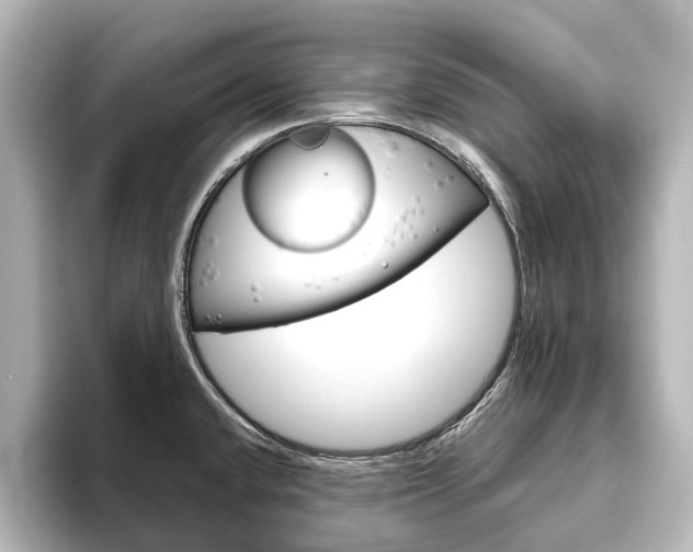 X0000096431432200801241015