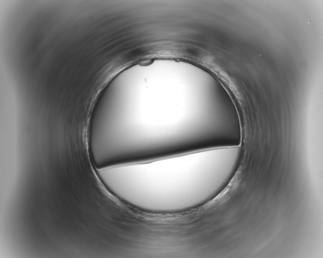 X0000096431433200801241015