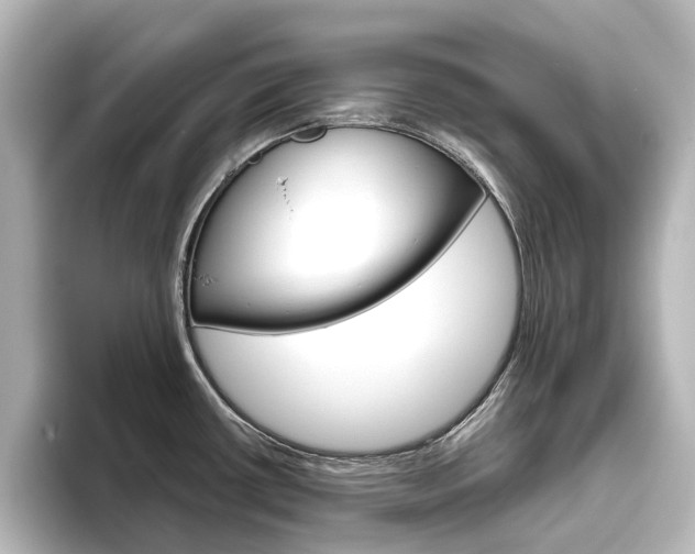 X0000096431434200801241015