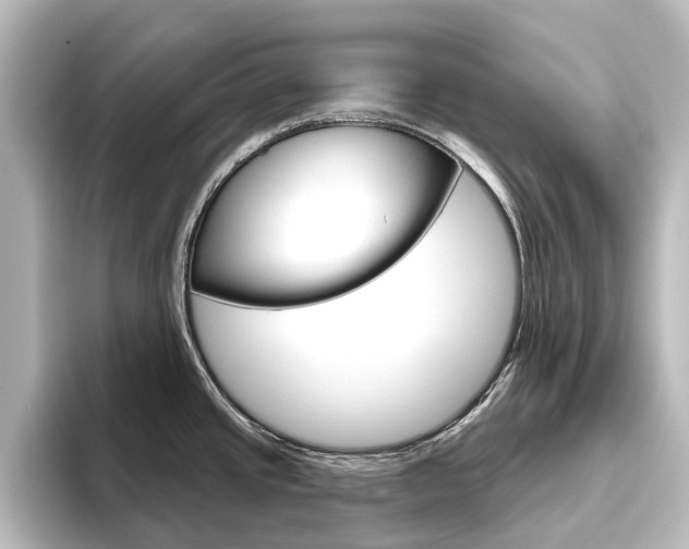 X0000096431437200801241015