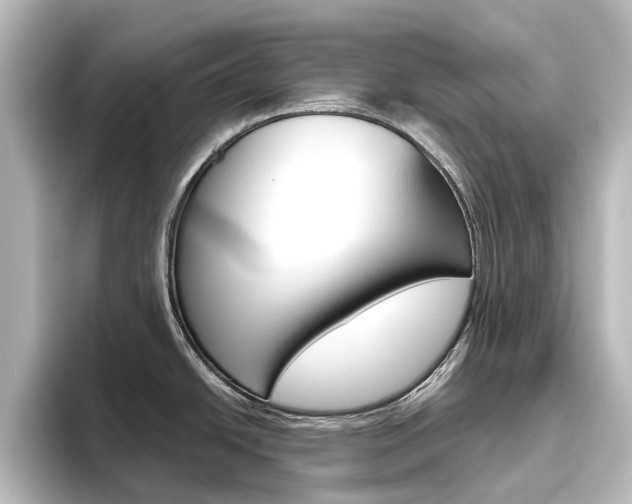X0000096431438200801241015