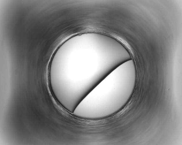 X0000096431439200801241015