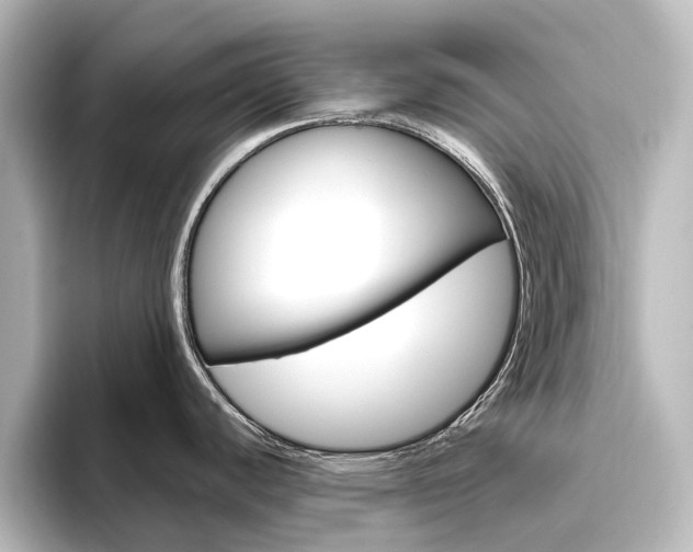 X0000096431440200801241015