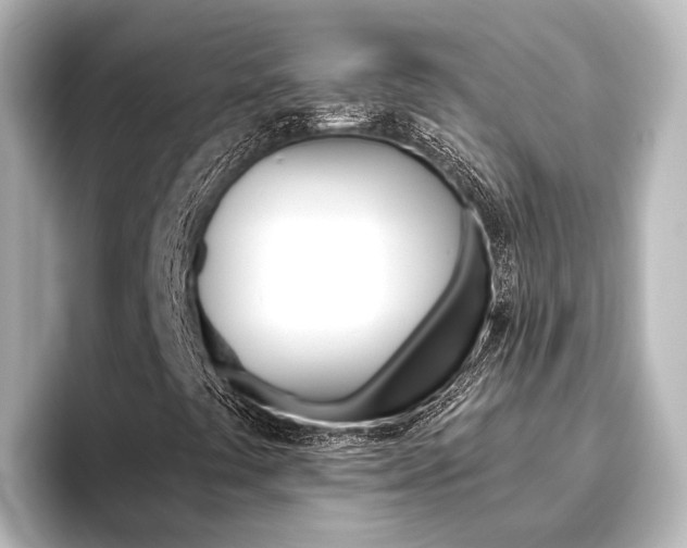 X0000096431441200801241014