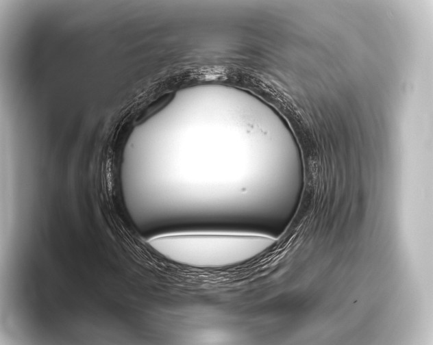 X0000096431442200801241014