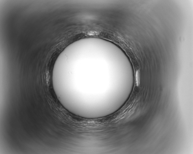 X0000096431443200801241014